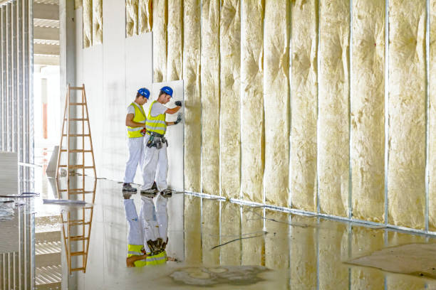 Best Insulation Installation Services in Ravenswood, WV